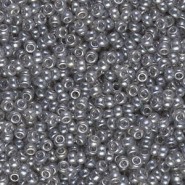 Miyuki seed beads 11/0 - Silver grey luster 11-368